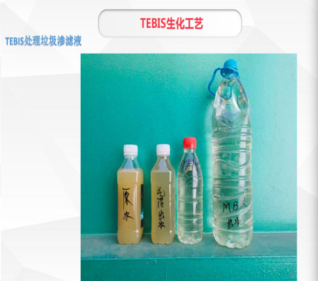 公司专利强力脱碳脱氮技术TEBIS生化工艺(图11)