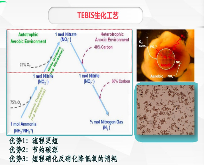 公司专利强力脱碳脱氮技术TEBIS生化工艺(图5)