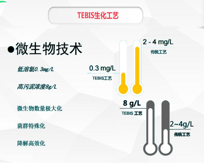 公司专利强力脱碳脱氮技术TEBIS生化工艺(图4)
