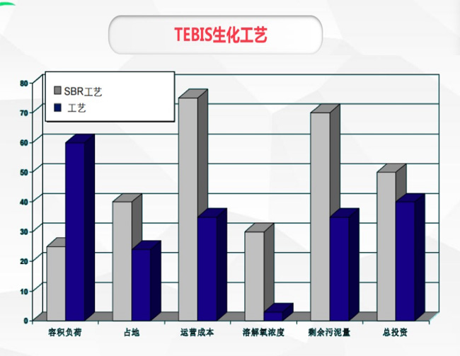公司专利强力脱碳脱氮技术TEBIS生化工艺(图6)