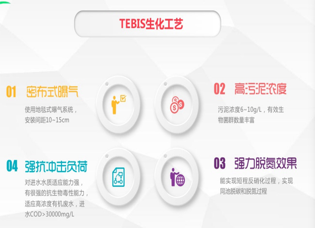 公司专利强力脱碳脱氮技术TEBIS生化工艺(图2)